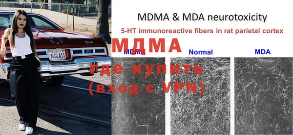 мяу мяу мука Алзамай