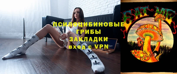 дживик Абаза