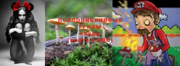 прущая мука Алексин