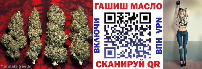 ТГК Wax  Александров 